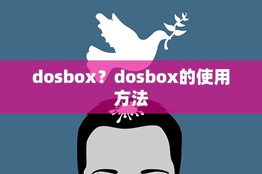 dosbox？dosbox的使用方法