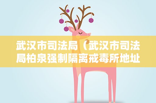 武汉市司法局（武汉市司法局柏泉强制隔离戒毒所地址）