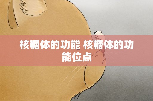 核糖体的功能 核糖体的功能位点