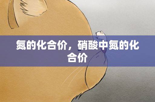 氮的化合价，硝酸中氮的化合价