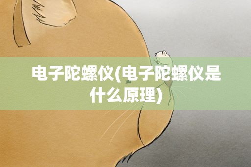 电子陀螺仪(电子陀螺仪是什么原理)
