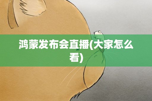 鸿蒙发布会直播(大家怎么看)