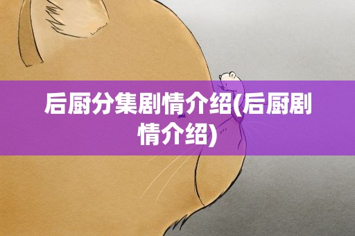 后厨分集剧情介绍(后厨剧情介绍)