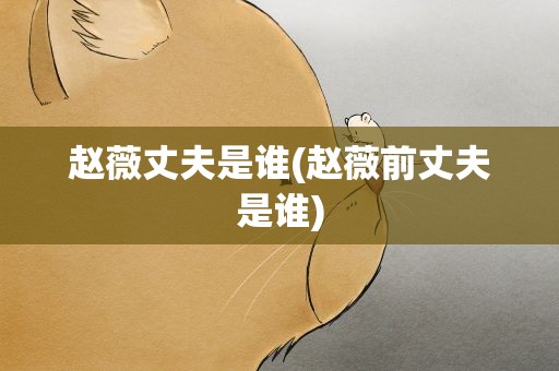 赵薇丈夫是谁(赵薇前丈夫是谁)