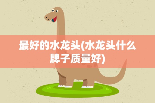 最好的水龙头(水龙头什么牌子质量好)