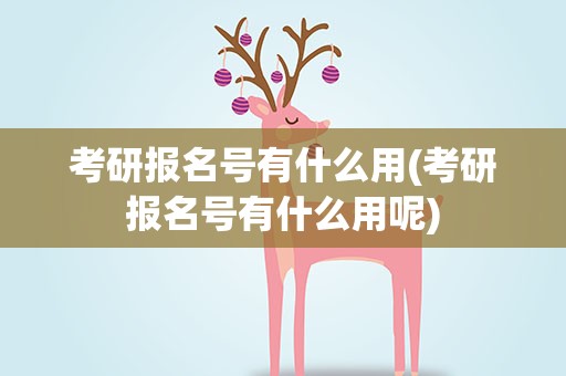考研报名号有什么用(考研报名号有什么用呢)