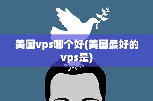 美国vps哪个好(美国最好的vps是)