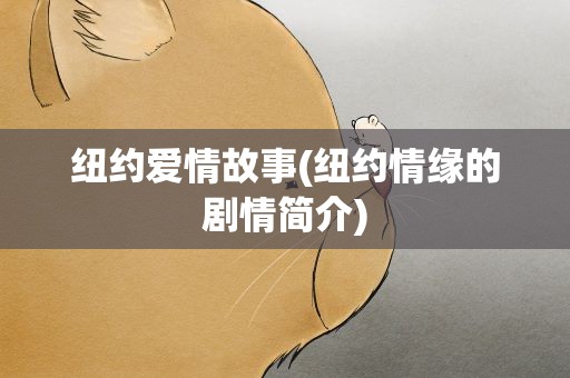 纽约爱情故事(纽约情缘的剧情简介)