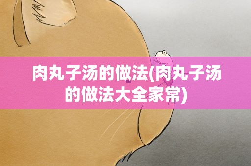肉丸子汤的做法(肉丸子汤的做法大全家常)