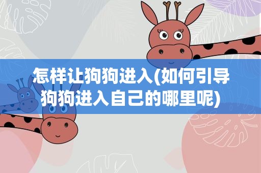 怎样让狗狗进入(如何引导狗狗进入自己的哪里呢)