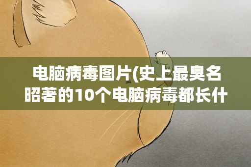 电脑病毒图片(史上最臭名昭著的10个电脑病毒都长什么样)