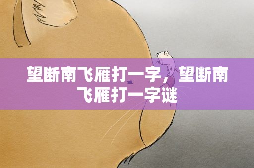 望断南飞雁打一字，望断南飞雁打一字谜