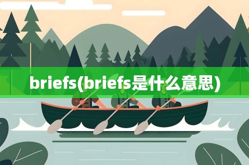 briefs(briefs是什么意思)