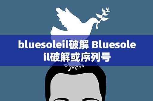 bluesoleil破解 Bluesoleil破解或序列号