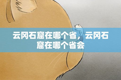 云冈石窟在哪个省，云冈石窟在哪个省会