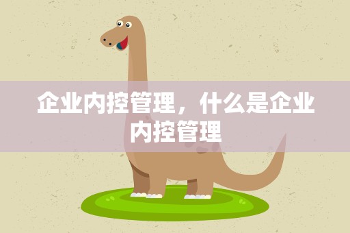 企业内控管理，什么是企业内控管理