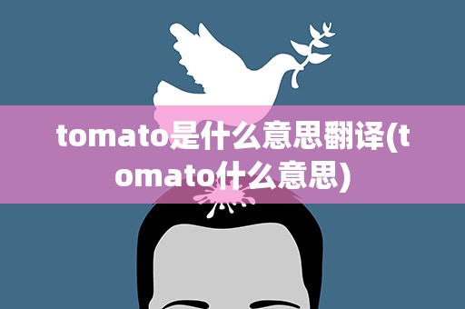 tomato是什么意思翻译(tomato什么意思)