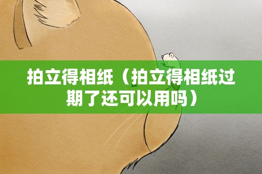 拍立得相纸（拍立得相纸过期了还可以用吗）
