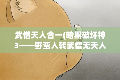 武僧天人合一(暗黑破坏神3——野蛮人转武僧无天人合一的配装方案)