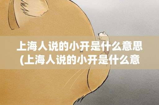 上海人说的小开是什么意思(上海人说的小开是什么意思啊)