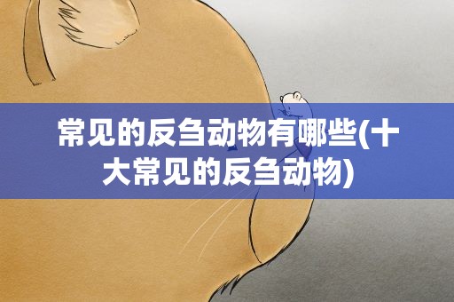 常见的反刍动物有哪些(十大常见的反刍动物)