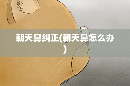 朝天鼻纠正(朝天鼻怎么办)