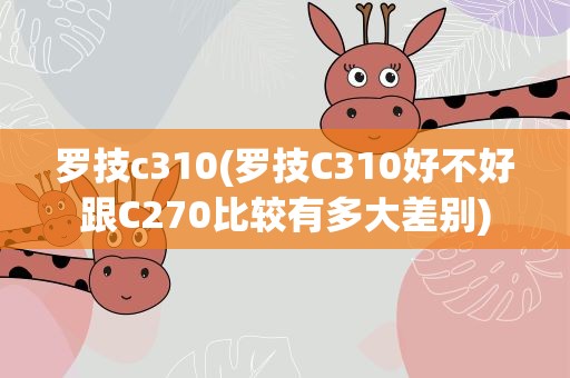 罗技c310(罗技C310好不好跟C270比较有多大差别)