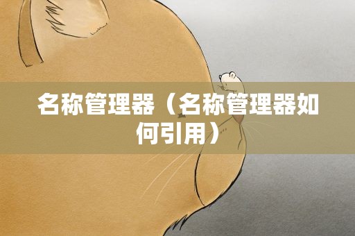 名称管理器（名称管理器如何引用）