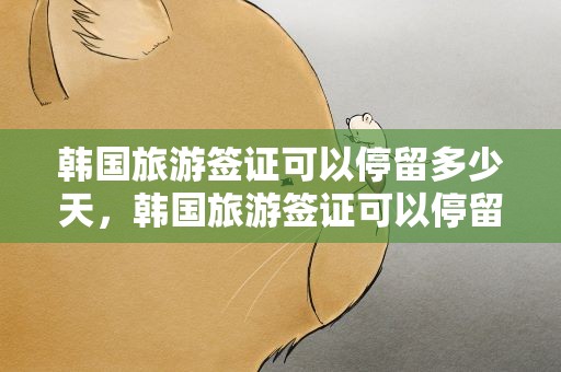 韩国旅游签证可以停留多少天，韩国旅游签证可以停留多少天啊