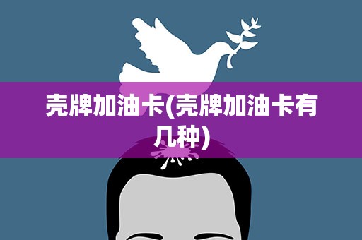 壳牌加油卡(壳牌加油卡有几种)
