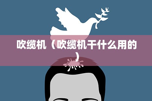 吹缆机（吹缆机干什么用的）
