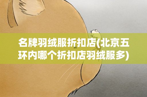 名牌羽绒服折扣店(北京五环内哪个折扣店羽绒服多)