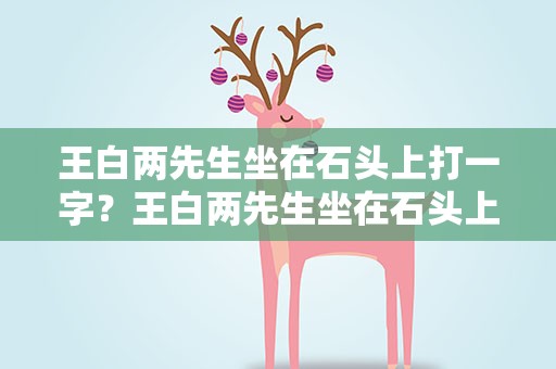 王白两先生坐在石头上打一字？王白两先生坐在石头上打一个字