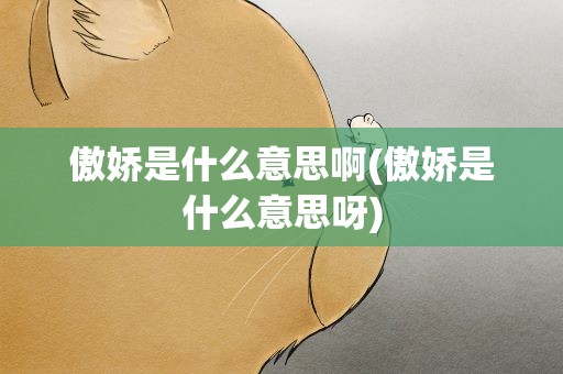傲娇是什么意思啊(傲娇是什么意思呀)