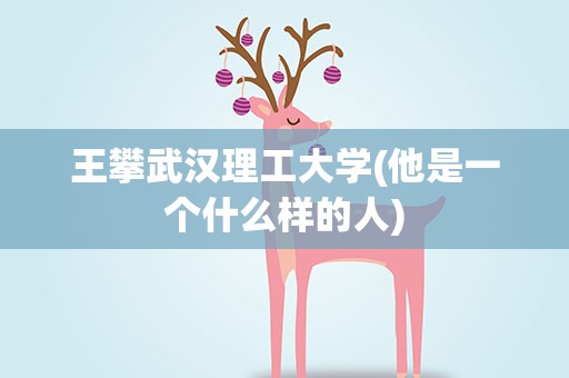王攀武汉理工大学(他是一个什么样的人)