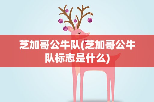 芝加哥公牛队(芝加哥公牛队标志是什么)