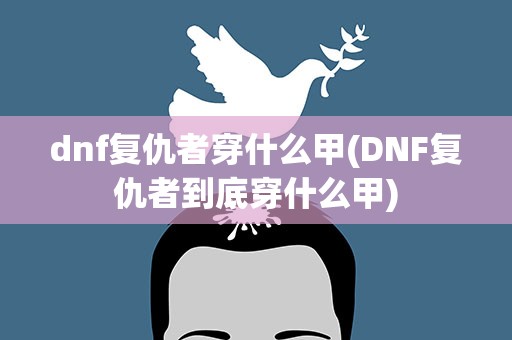 dnf复仇者穿什么甲(DNF复仇者到底穿什么甲)