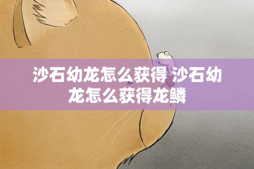 沙石幼龙怎么获得 沙石幼龙怎么获得龙鳞