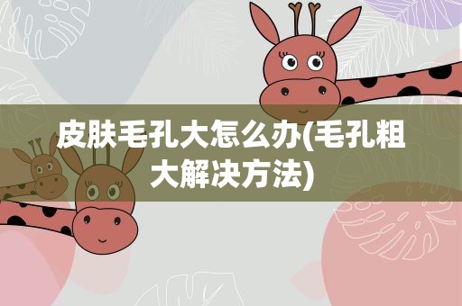 皮肤毛孔大怎么办(毛孔粗大解决方法)