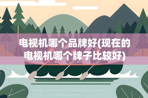 电视机哪个品牌好(现在的电视机哪个牌子比较好)