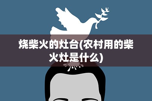 烧柴火的灶台(农村用的柴火灶是什么)