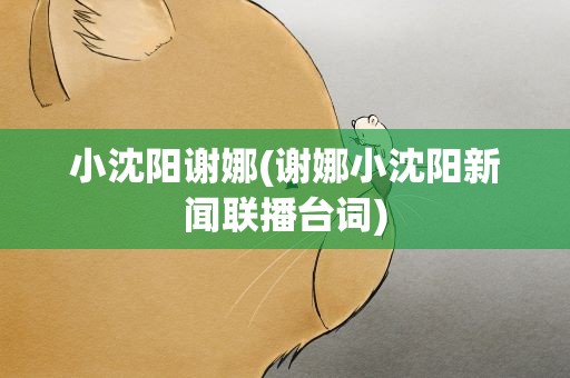小沈阳谢娜(谢娜小沈阳新闻联播台词)