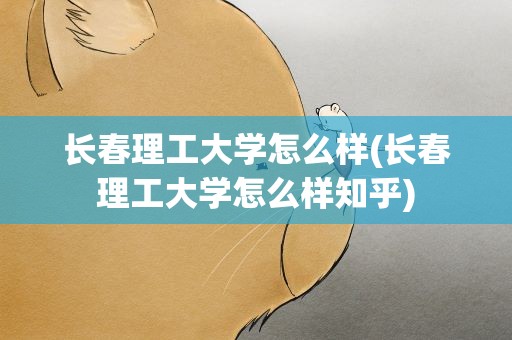 长春理工大学怎么样(长春理工大学怎么样知乎)