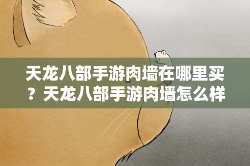 天龙八部手游肉墙在哪里买？天龙八部手游肉墙怎么样