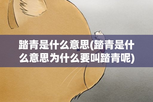踏青是什么意思(踏青是什么意思为什么要叫踏青呢)