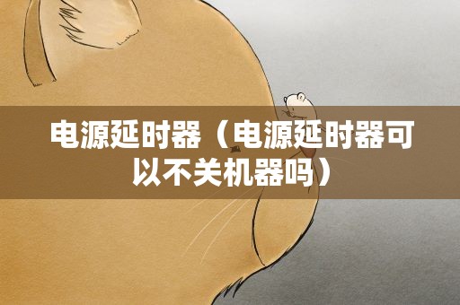 电源延时器（电源延时器可以不关机器吗）