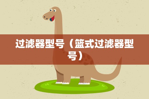 过滤器型号（篮式过滤器型号）