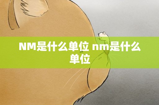NM是什么单位 nm是什么单位