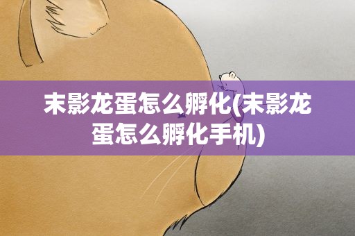 末影龙蛋怎么孵化(末影龙蛋怎么孵化手机)