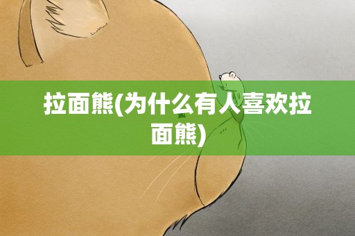 拉面熊(为什么有人喜欢拉面熊)